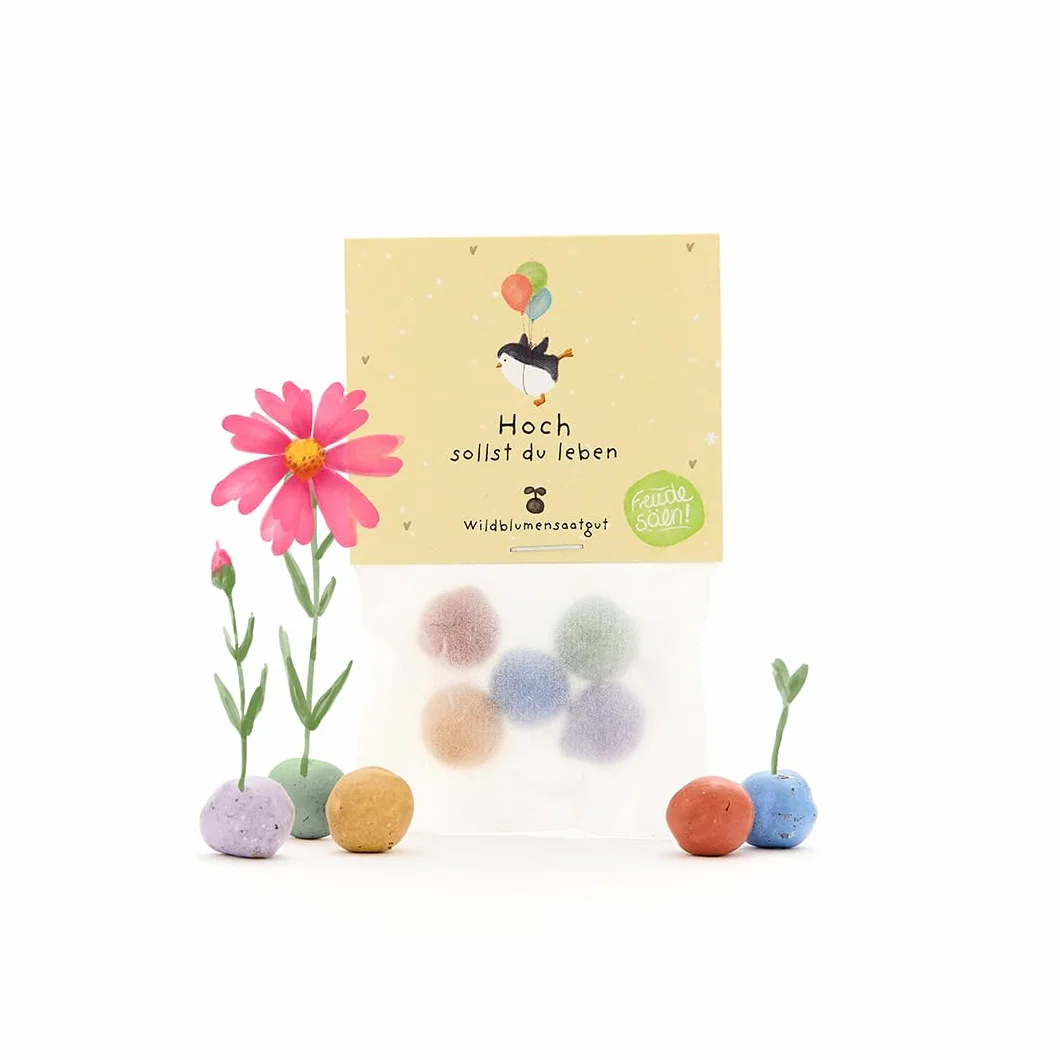 Regalino sostenibile per il compleanno: 5 biglie di fiori colorate con semi di fiori selvatici