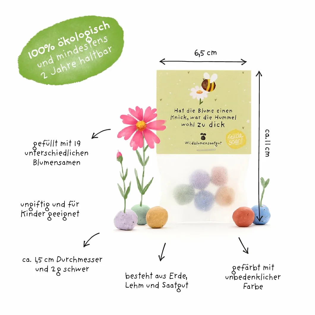 Bombe colorate con semi di fiori selvatici - 5 biglie di fiori colorate - ecologico regalo per giardinieri