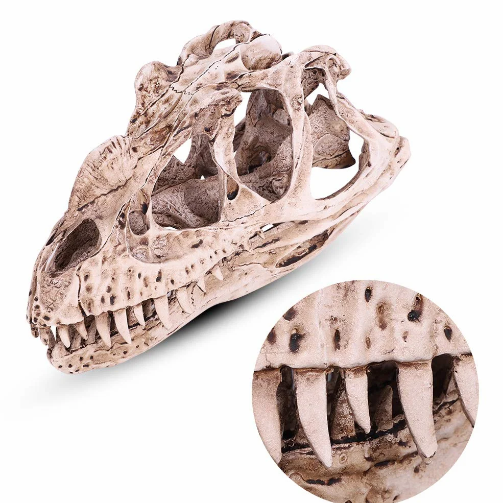 GOTOTOP Modello di teschio di dinosauro, modello di teschio di dinosauro in resina, scheletro di animali, casa, ufficio, bar, feste, decorazioni per lavori artigianali
