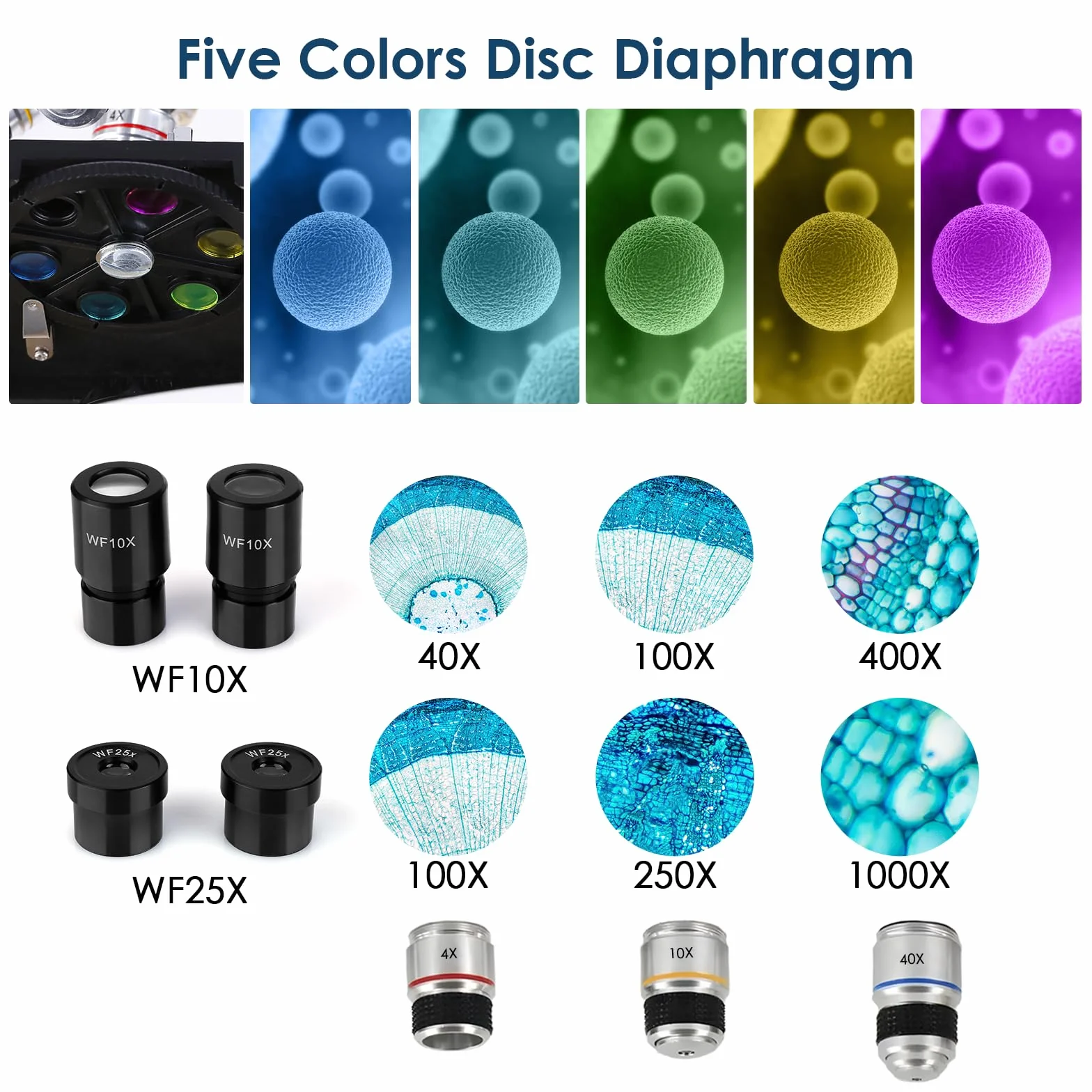 Cowiewie Microscopio Binoculare professionale a trasmissione e riflessione 40X-1000X per luce incidente e trasmessa, con oculare e illuminazione a LED, microscopio per studenti con vetrini