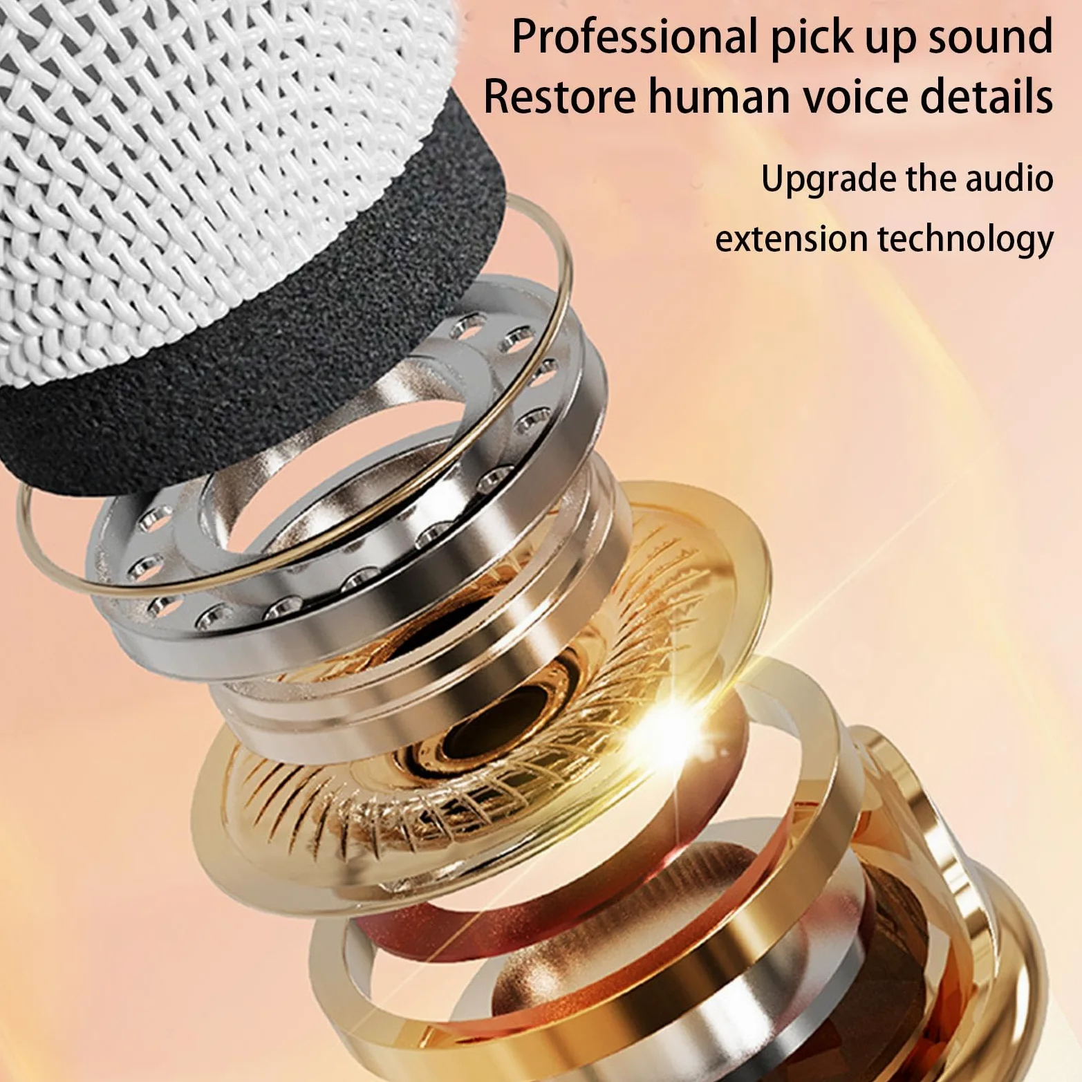 Altoparlante per karaoke, altoparlante portatile per karaoke | kit di altoparlanti wireless per karaoke, microfono per karaoke wireless con cavo di ricarica, karaoke con due microf