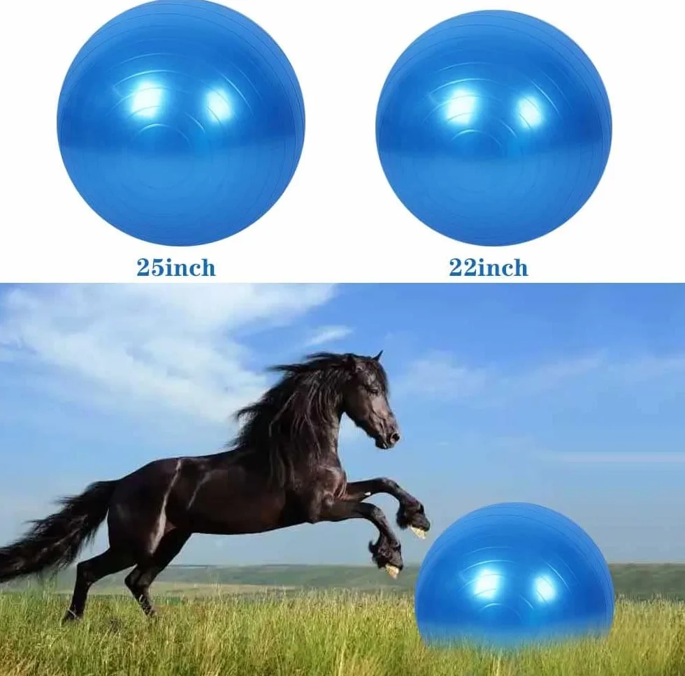 Giocattolo per allenamento a forma di palla di cavallo, anti-scoppio con pompa di gonfiaggio, per cavallo, agnello, capra, giocattolo di intrattenimento (55 cm, blu)