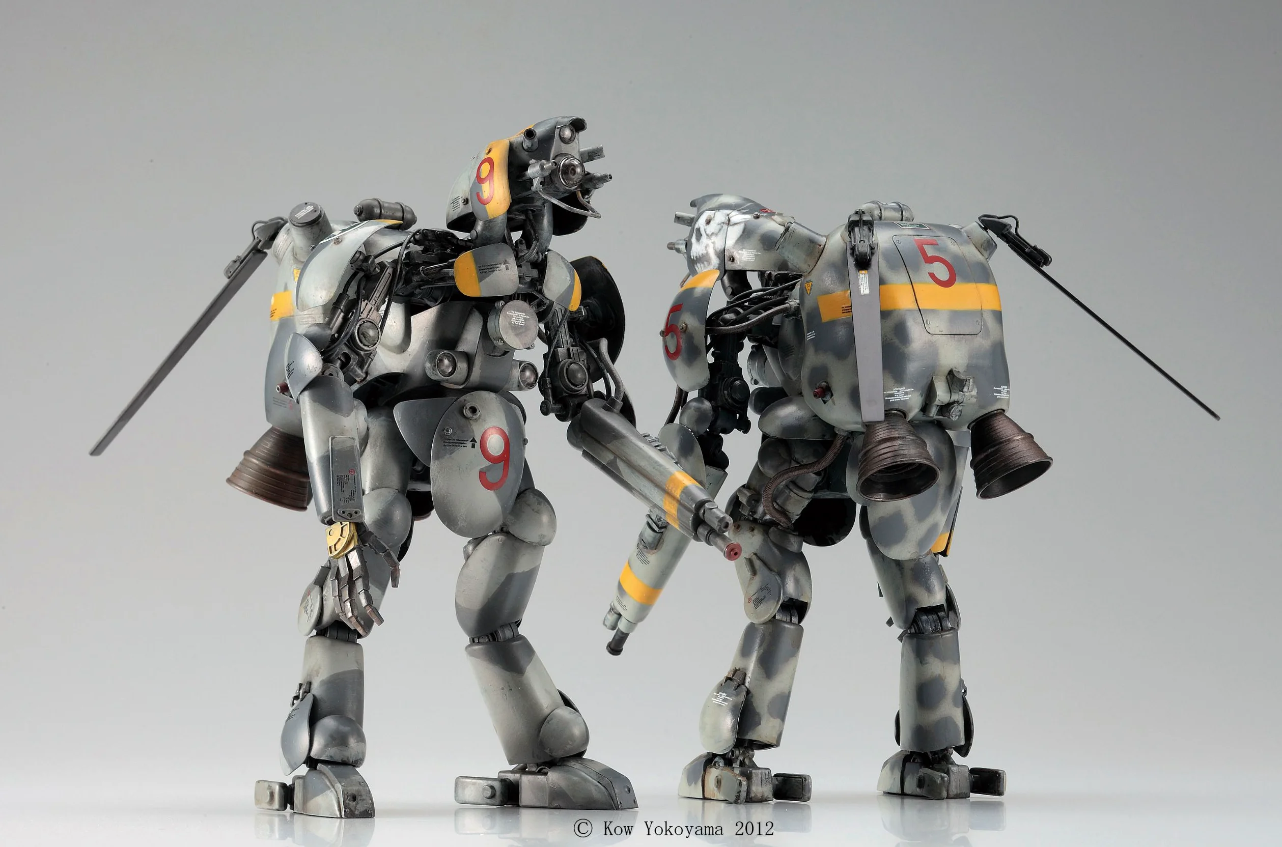 Hasegawa 64105 - Modellino Aereo Altair, Scala 1:20