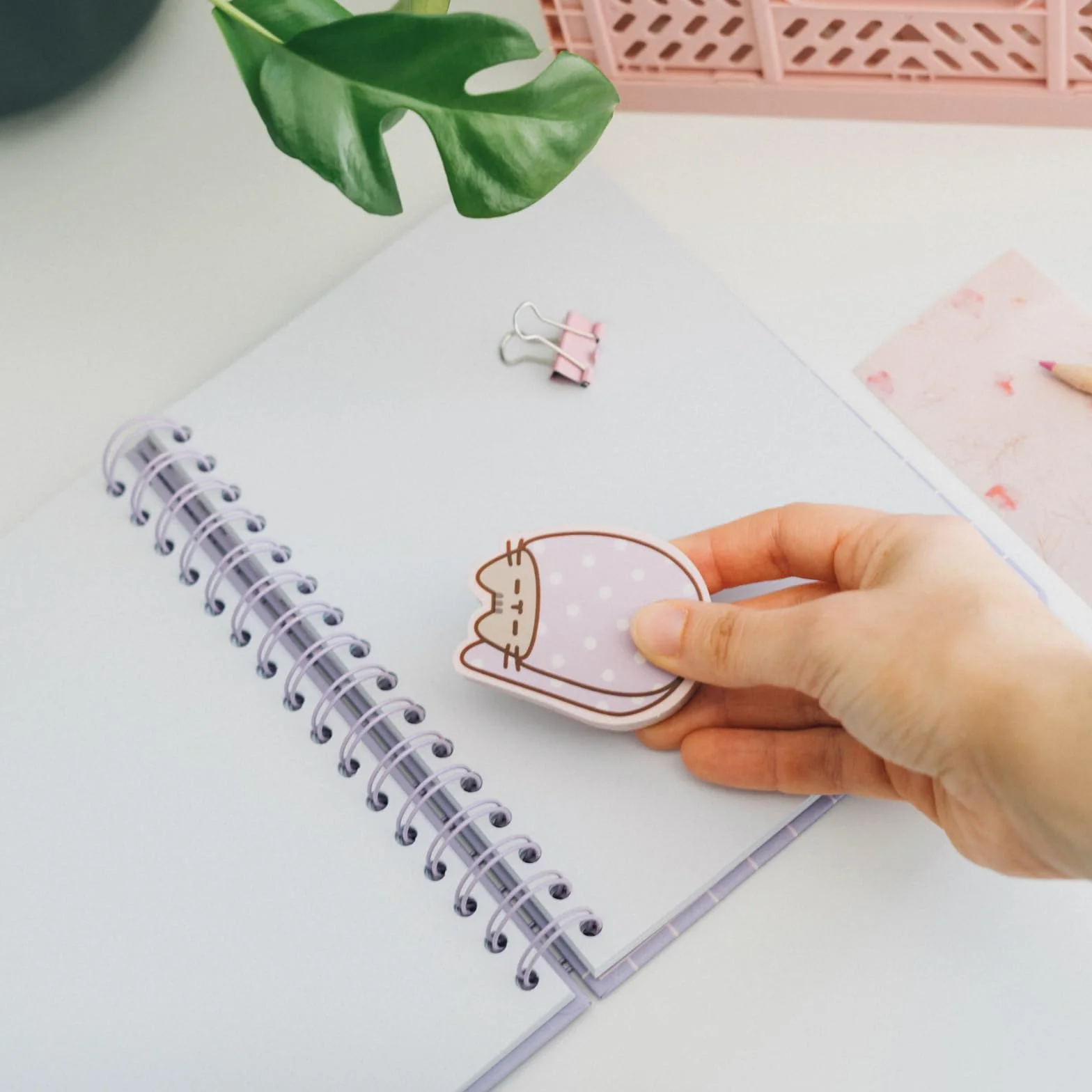Grupo Erik: Gomme da cancellare Pusheen Moments | Set da 2 gomme jumbo da cancellare, Gomme da cancellare per bambini, Cancelleria Pusheen, Pusheen Gadget