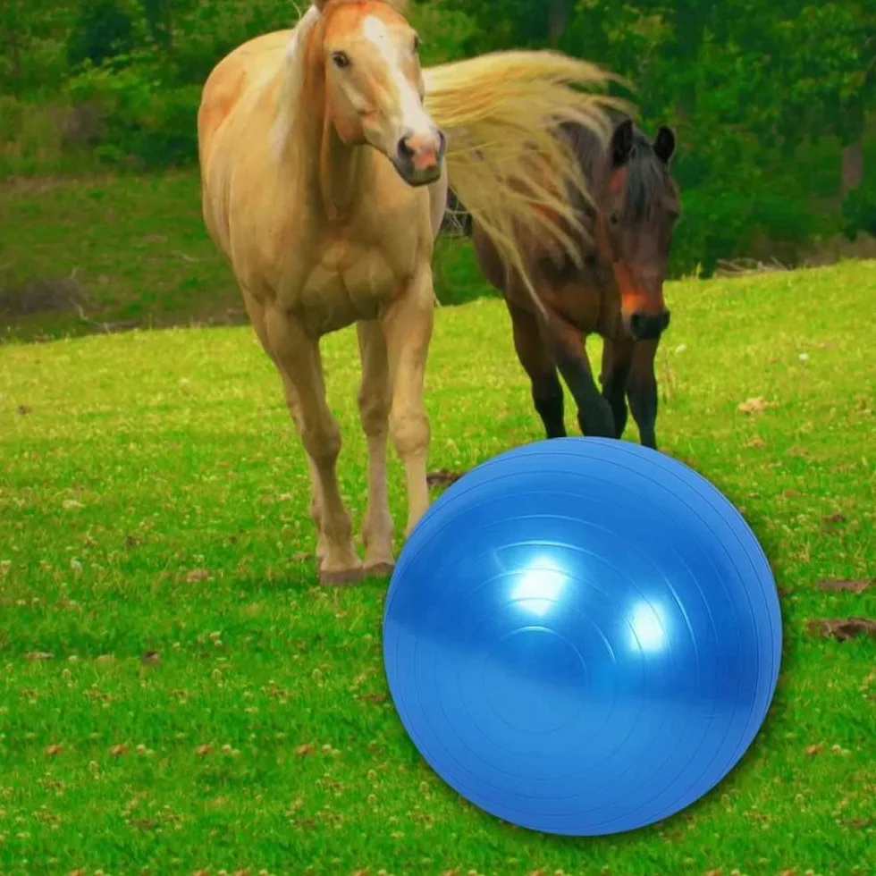 Giocattolo per allenamento a forma di palla di cavallo, anti-scoppio con pompa di gonfiaggio, per cavallo, agnello, capra, giocattolo di intrattenimento (55 cm, blu)