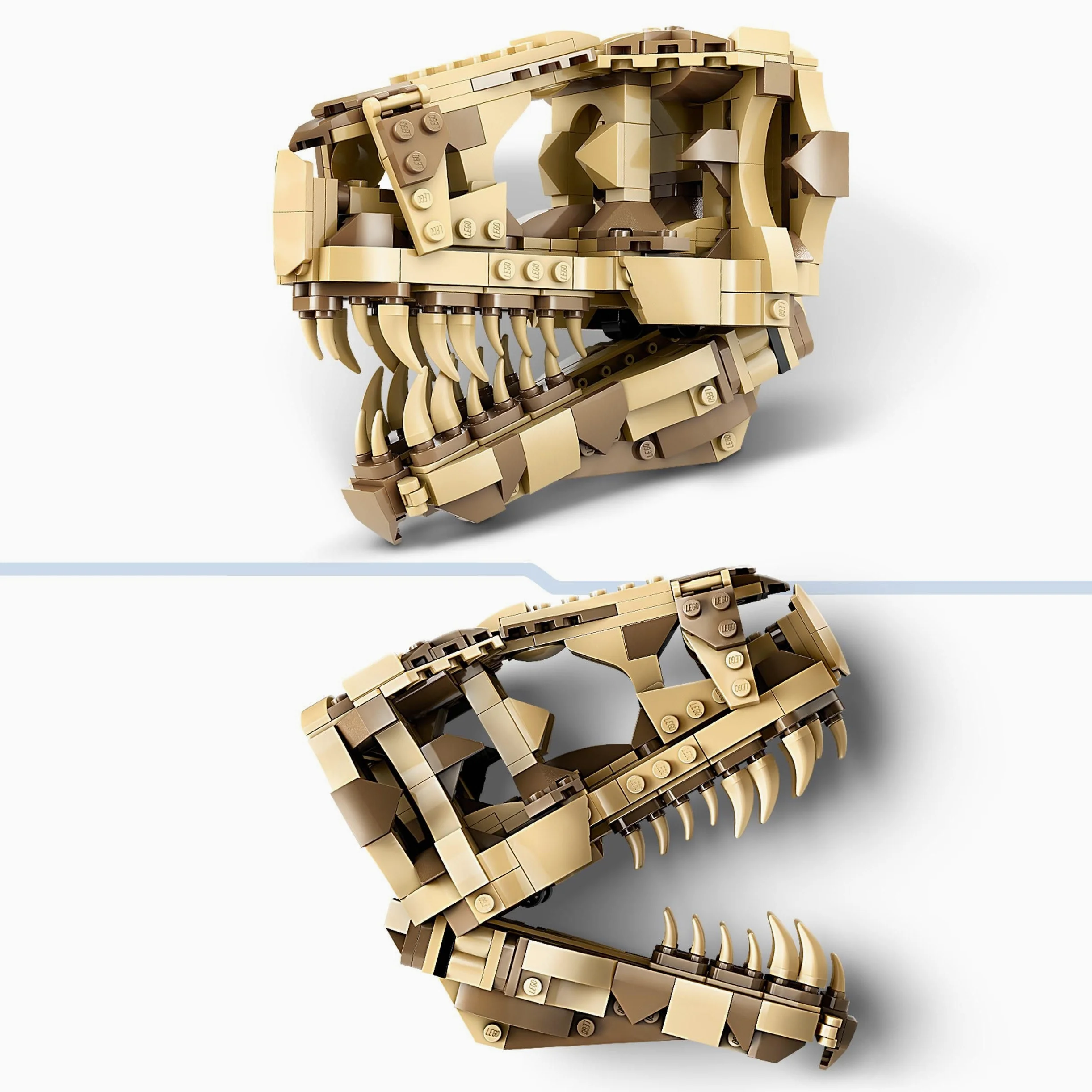 LEGO Jurassic World Fossili di Dinosauro: Teschio di T. Rex Giocattolo, Giochi per Bambini e Bambine da 9 Anni in su Appassionati di Modelli di Dinosauri da Costruire, Kit con Fossile con Ossa 76964