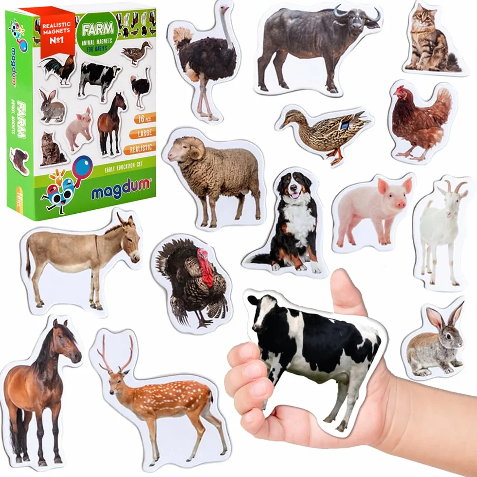 Magneti da Frigorifero per Bambini Grandi Magneti Fattoria 16 PCS Animali Realistici Gioco Montessori