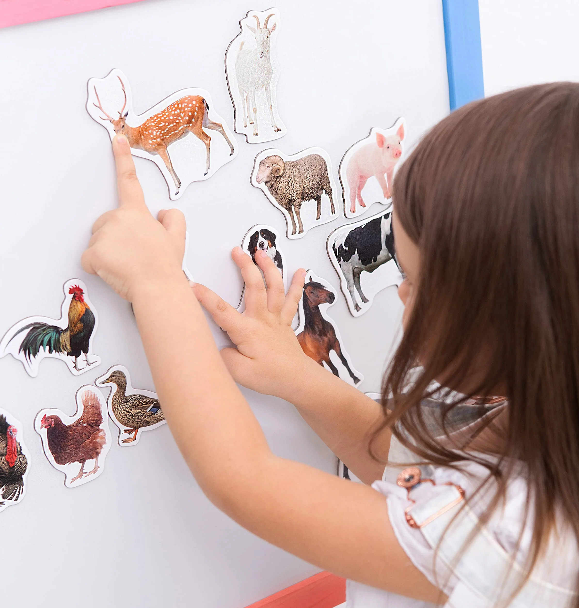 Magneti da Frigorifero per Bambini Grandi Magneti Fattoria 16 PCS Animali Realistici Gioco Montessori