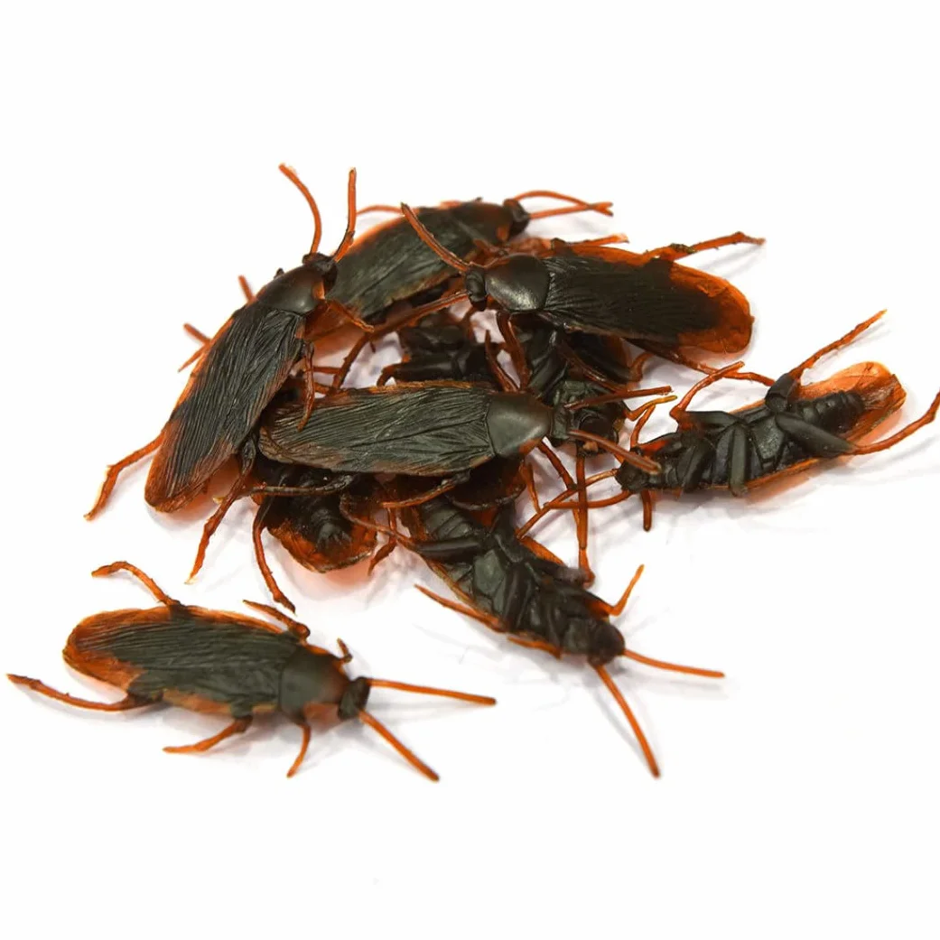 10 pezzi falsi scarafaggi di scarafaggi di plastica realistici Insetti di scherzo giocattoli scherzi scarichi bug per gli sciocchi.