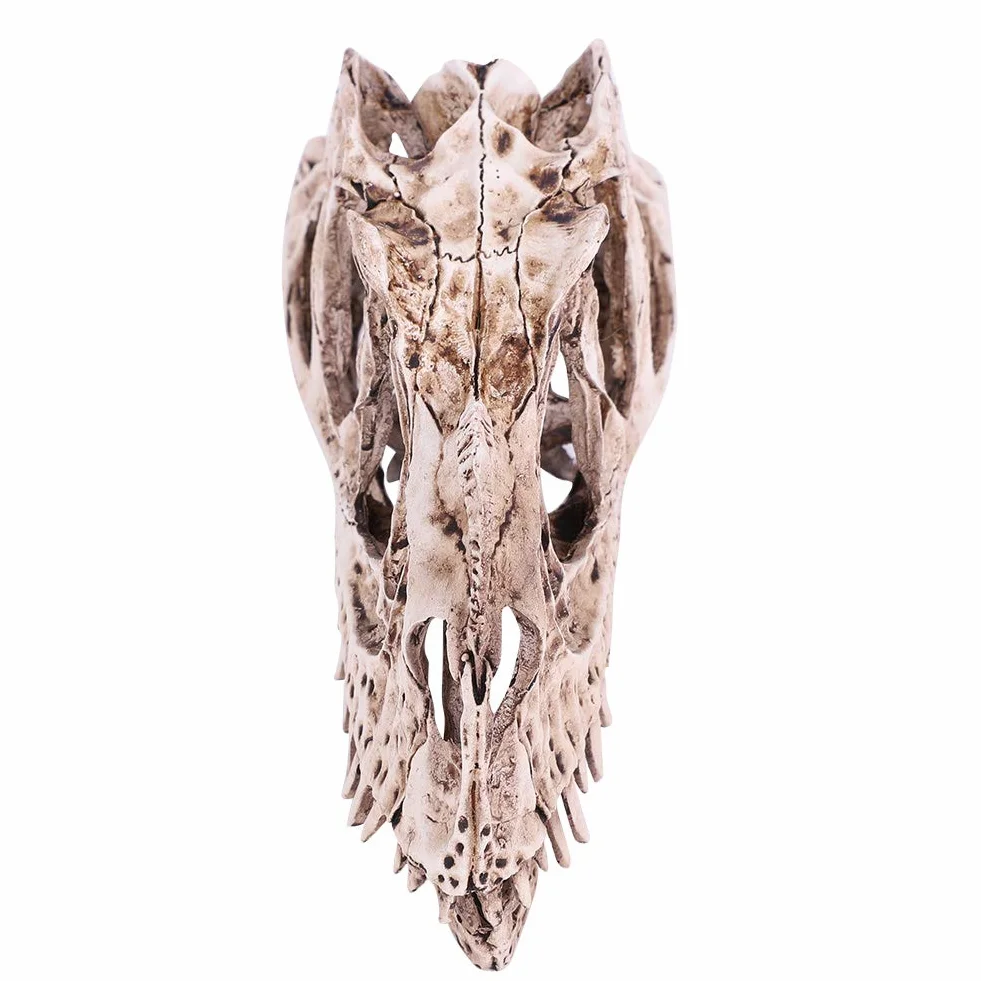Modello Di Teschio Di Dinosauro In Resina Scheletro Animale Simulato Home Office Decor Craft Insegnamento Prop