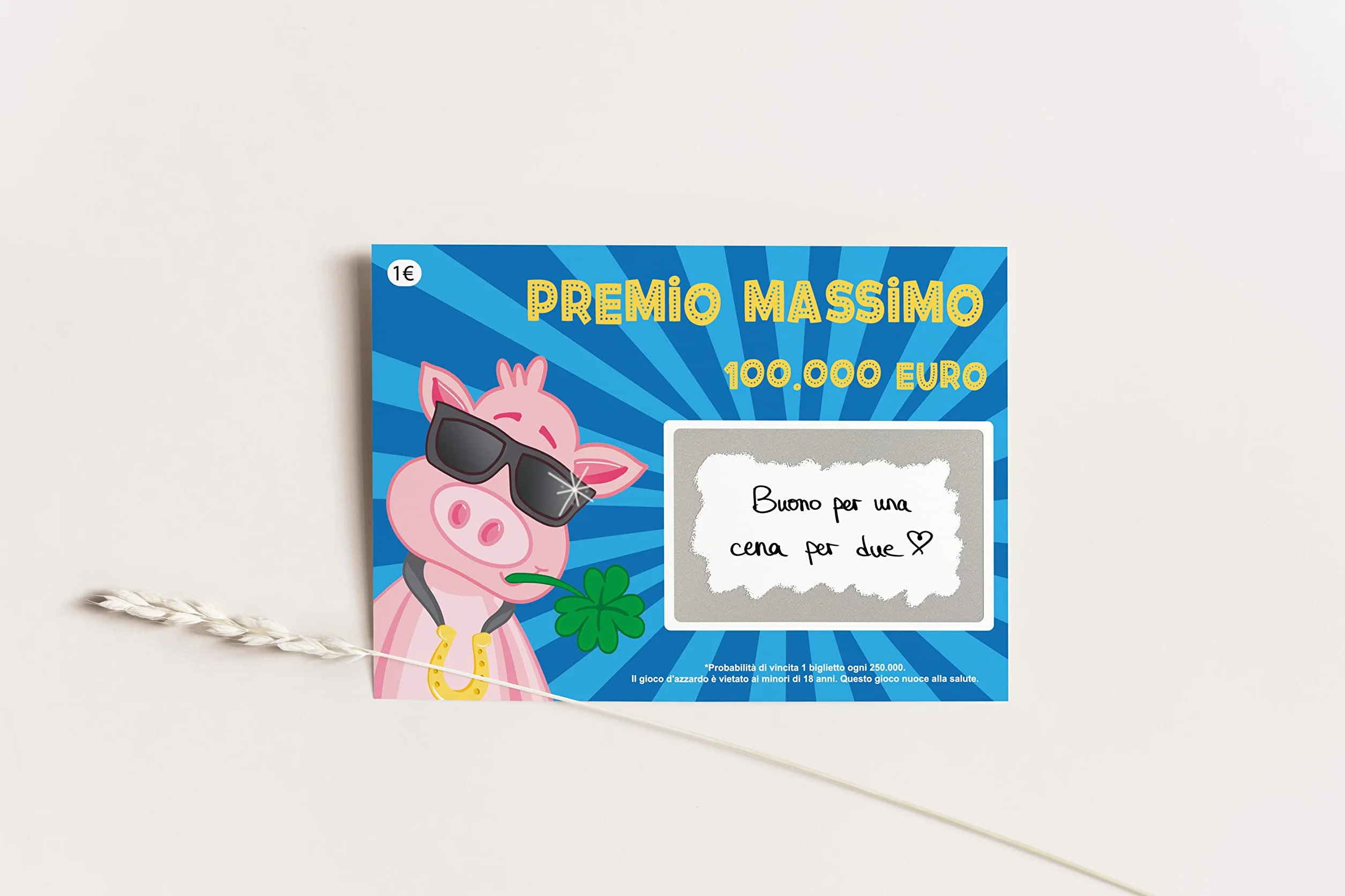 Joli Coon 5 Gratta e vinci scherzo 100.000 - Gratta e vinci personalizzato - Gratta e vinci scherzo