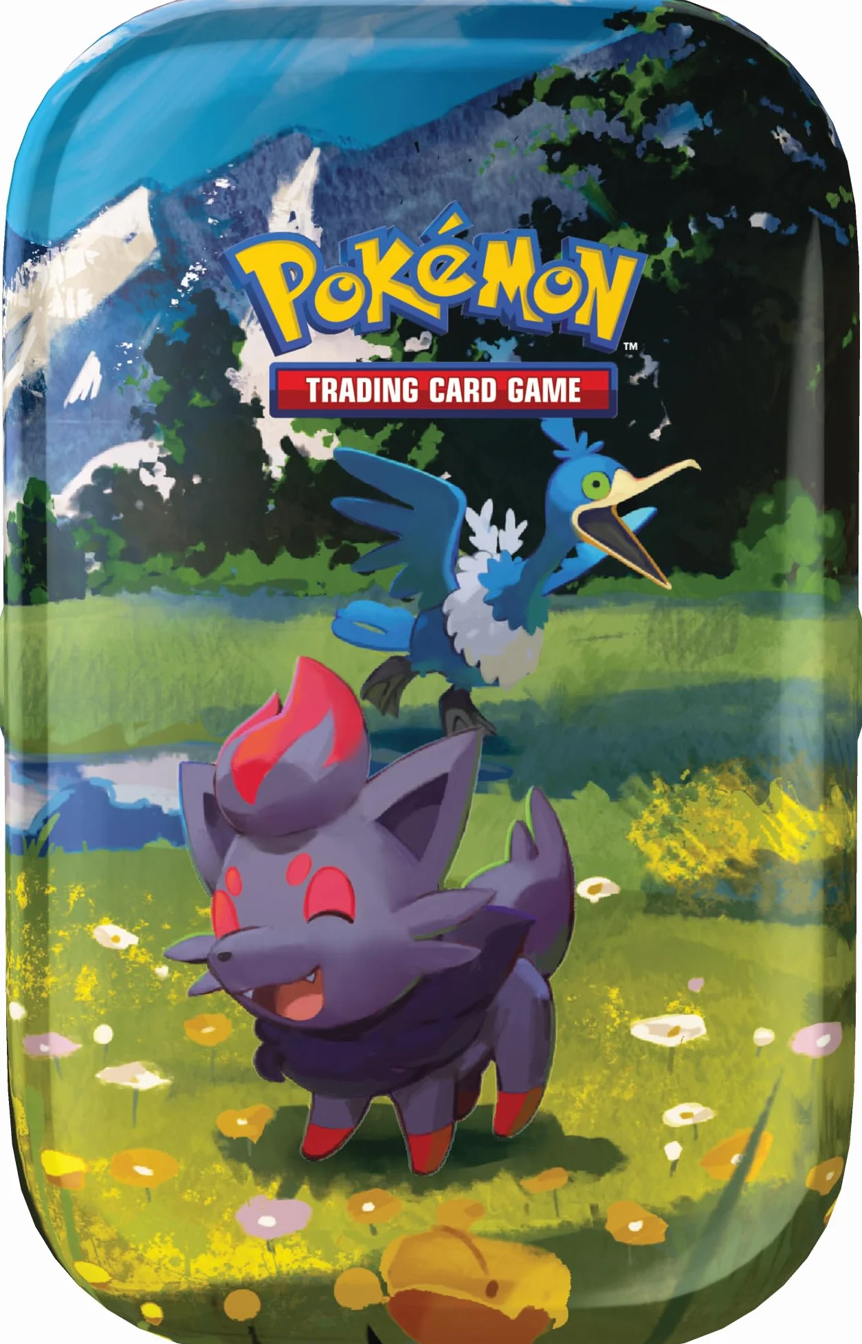 Pokémon: miniscatola da collezione Espansione Megaevoluzione - Ascesa Eroica (Zorua e Cramorant) del GCC Pokémon (1 foglio con adesivi, 1 carta illustrazione della miniscatola e 2 buste espansione)