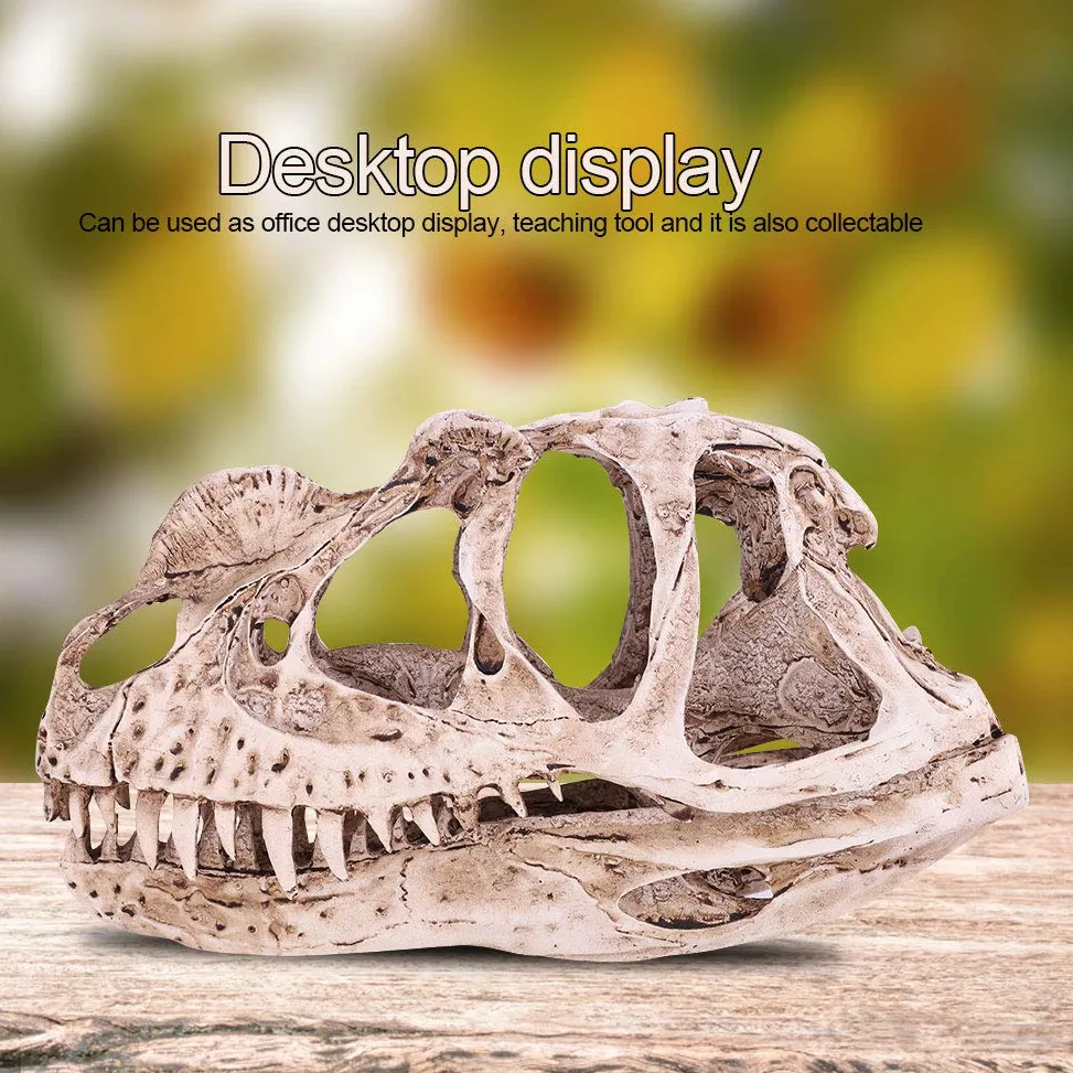 GOTOTOP Modello di teschio di dinosauro, modello di teschio di dinosauro in resina, scheletro di animali, casa, ufficio, bar, feste, decorazioni per lavori artigianali